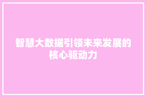 智慧大数据引领未来发展的核心驱动力  第1张