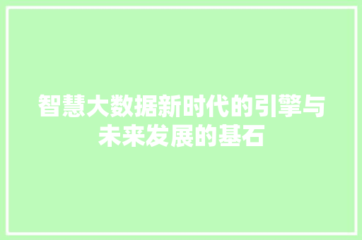 智慧大数据新时代的引擎与未来发展的基石  第1张