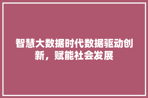 智慧大数据时代数据驱动创新，赋能社会发展  第1张