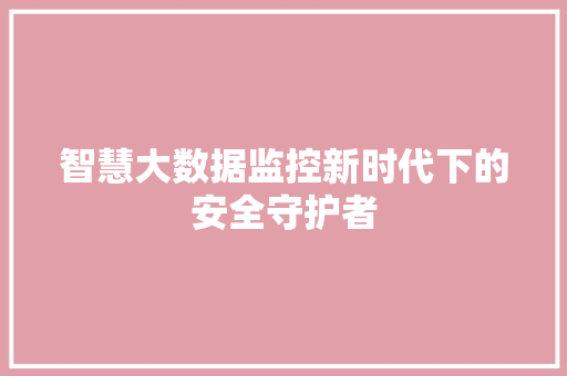 智慧大数据监控新时代下的安全守护者  第1张