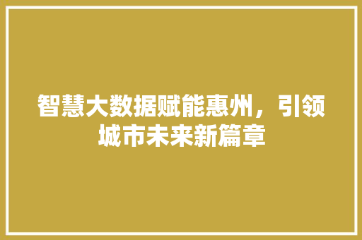 智慧大数据赋能惠州，引领城市未来新篇章