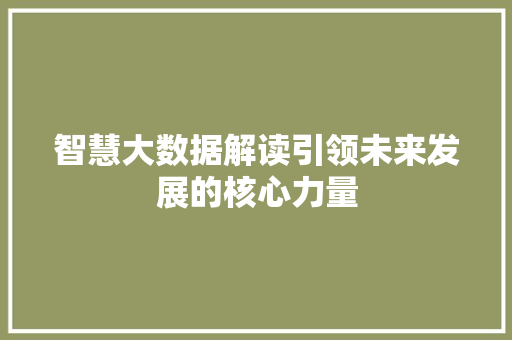智慧大数据解读引领未来发展的核心力量