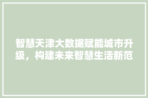 智慧天津大数据赋能城市升级，构建未来智慧生活新范式