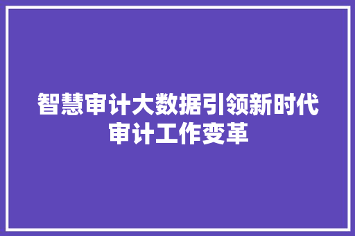 智慧审计大数据引领新时代审计工作变革  第1张