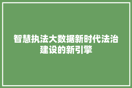 智慧执法大数据新时代法治建设的新引擎