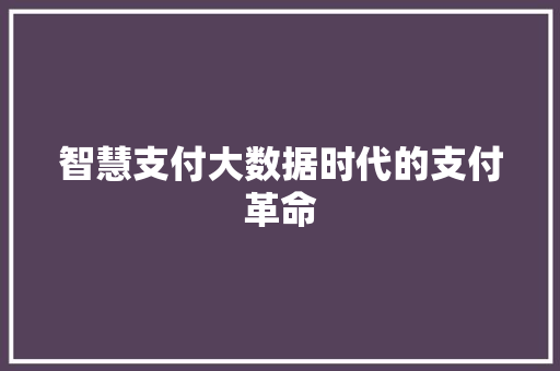 智慧支付大数据时代的支付革命