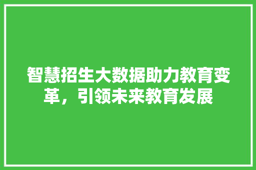 智慧招生大数据助力教育变革，引领未来教育发展
