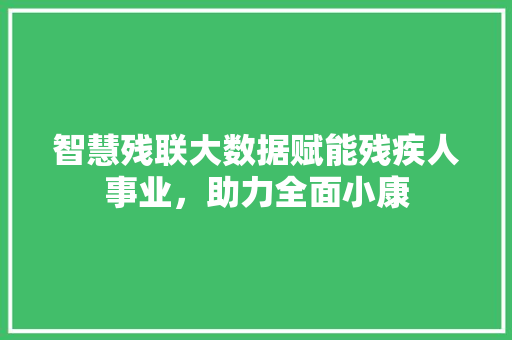 智慧残联大数据赋能残疾人事业，助力全面小康