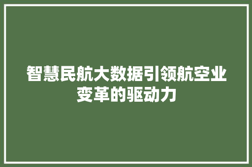 智慧民航大数据引领航空业变革的驱动力