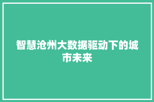 智慧沧州大数据驱动下的城市未来  第1张