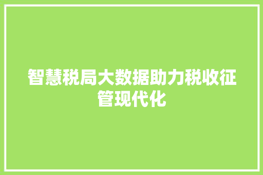 智慧税局大数据助力税收征管现代化