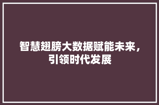 智慧翅膀大数据赋能未来，引领时代发展  第1张