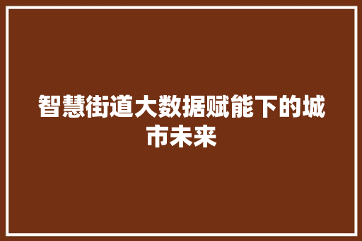 智慧街道大数据赋能下的城市未来
