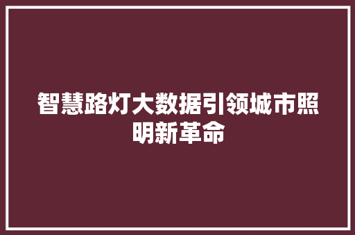 智慧路灯大数据引领城市照明新革命  第1张