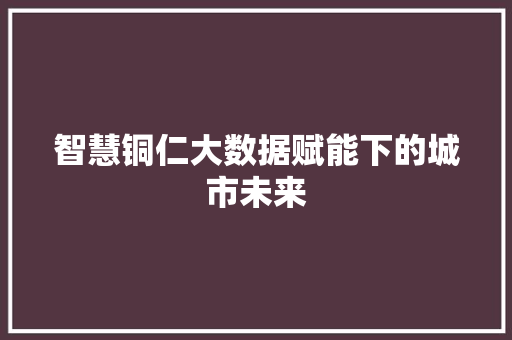 智慧铜仁大数据赋能下的城市未来  第1张