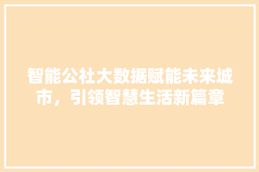 智能公社大数据赋能未来城市，引领智慧生活新篇章  第1张