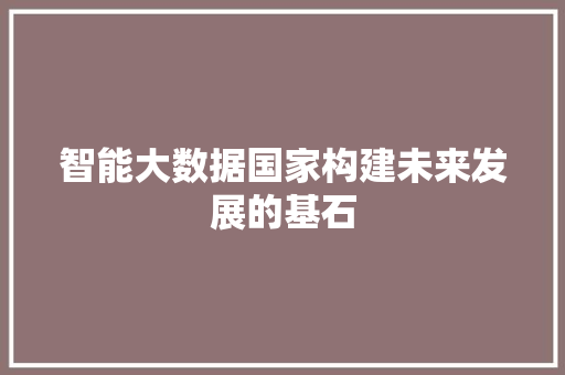 智能大数据国家构建未来发展的基石