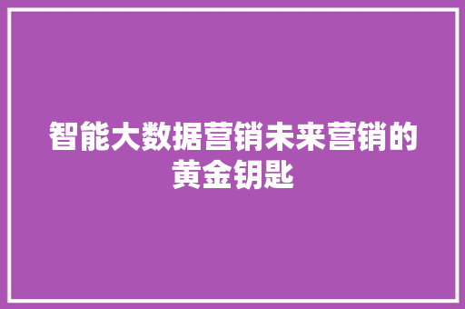 智能大数据营销未来营销的黄金钥匙  第1张