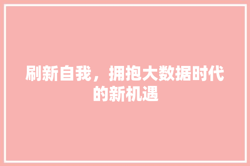刷新自我，拥抱大数据时代的新机遇  第1张