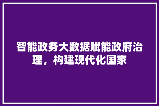 智能政务大数据赋能政府治理，构建现代化国家