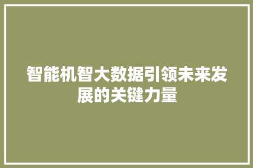智能机智大数据引领未来发展的关键力量