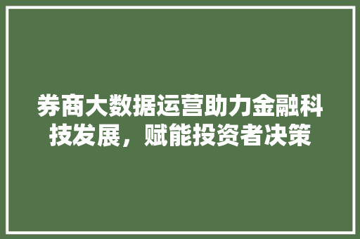 券商大数据运营助力金融科技发展，赋能投资者决策