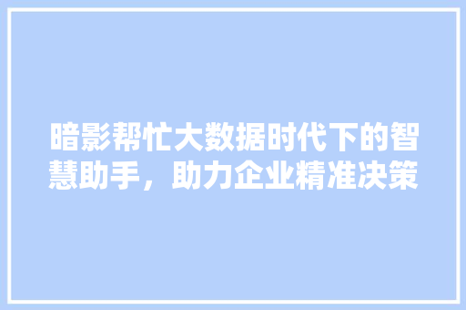 暗影帮忙大数据时代下的智慧助手，助力企业精准决策  第1张