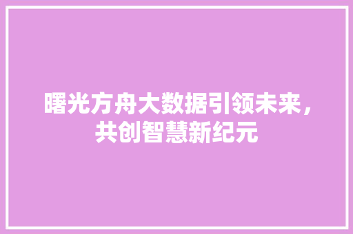 曙光方舟大数据引领未来，共创智慧新纪元
