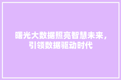 曙光大数据照亮智慧未来，引领数据驱动时代