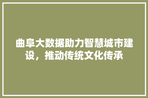 曲阜大数据助力智慧城市建设，推动传统文化传承