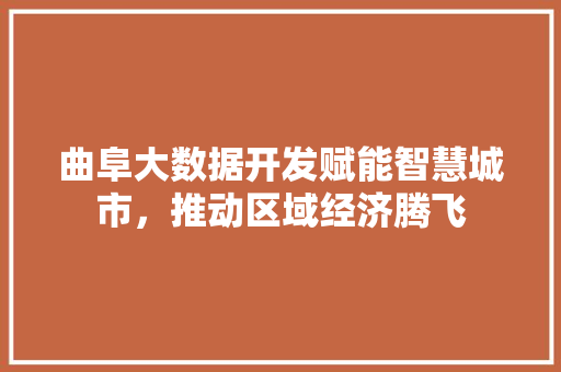 曲阜大数据开发赋能智慧城市，推动区域经济腾飞