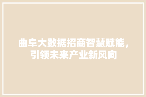 曲阜大数据招商智慧赋能，引领未来产业新风向