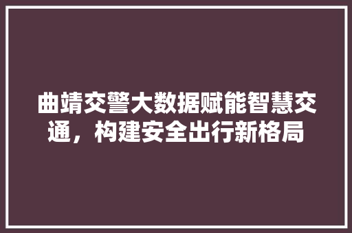 曲靖交警大数据赋能智慧交通，构建安全出行新格局