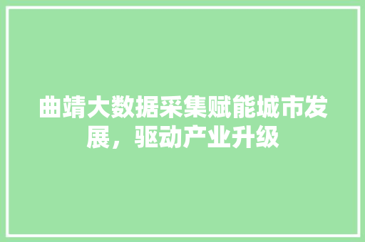 曲靖大数据采集赋能城市发展，驱动产业升级  第1张