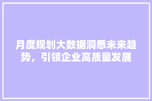 月度规划大数据洞悉未来趋势，引领企业高质量发展  第1张