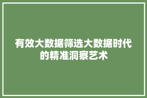 有效大数据筛选大数据时代的精准洞察艺术
