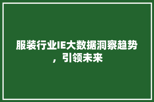服装行业IE大数据洞察趋势，引领未来  第1张