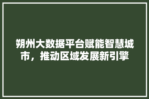 朔州大数据平台赋能智慧城市，推动区域发展新引擎  第1张
