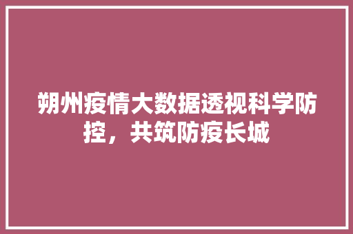 朔州疫情大数据透视科学防控，共筑防疫长城  第1张