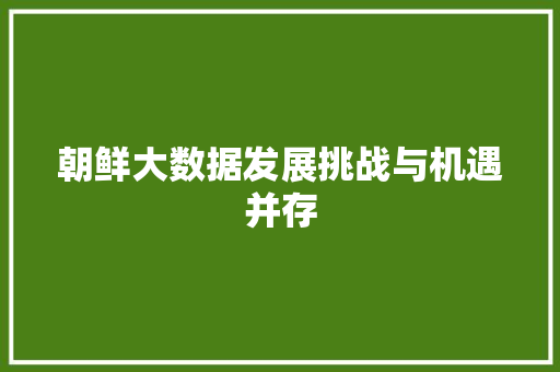 朝鲜大数据发展挑战与机遇并存