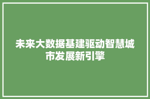 未来大数据基建驱动智慧城市发展新引擎