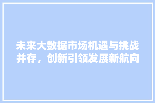 未来大数据市场机遇与挑战并存，创新引领发展新航向