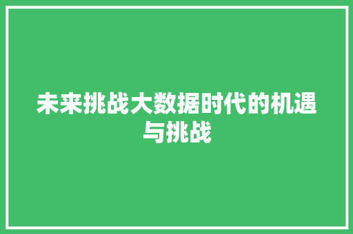 未来挑战大数据时代的机遇与挑战  第1张