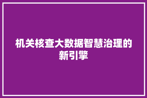 机关核查大数据智慧治理的新引擎