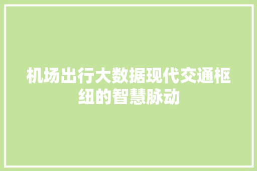 机场出行大数据现代交通枢纽的智慧脉动  第1张