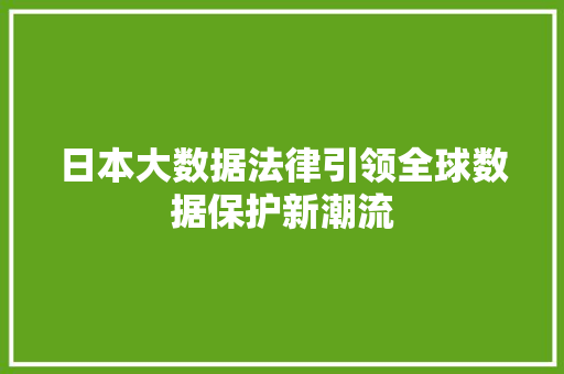 日本大数据法律引领全球数据保护新潮流  第1张