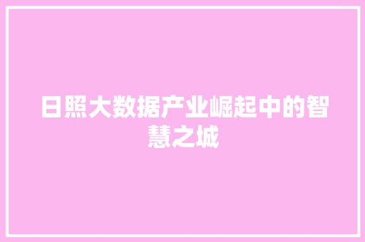 日照大数据产业崛起中的智慧之城  第1张