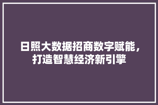 日照大数据招商数字赋能，打造智慧经济新引擎  第1张