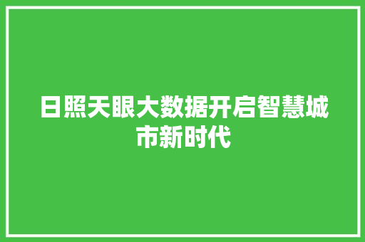 日照天眼大数据开启智慧城市新时代