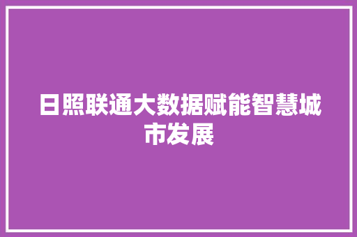 日照联通大数据赋能智慧城市发展  第1张